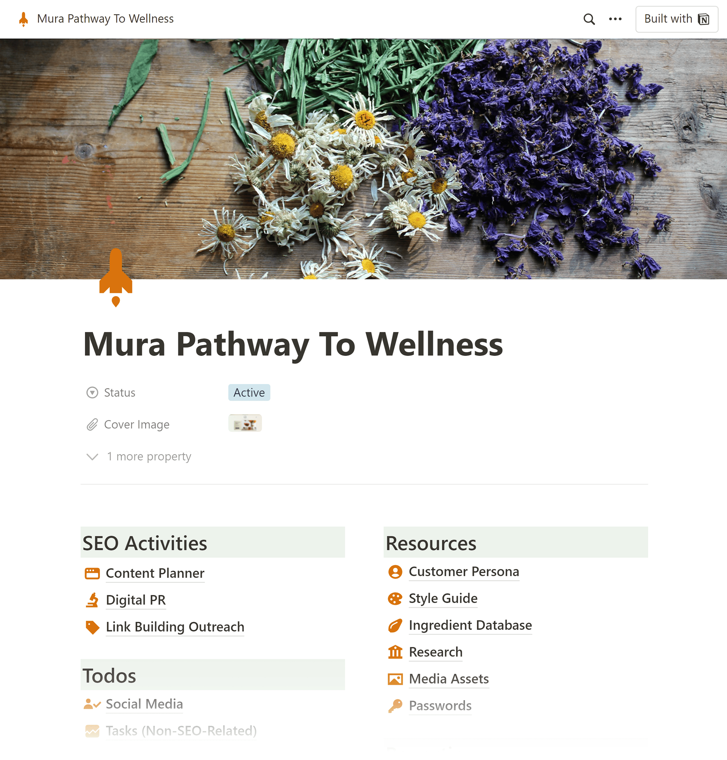 Notion – Client portal Notion – Client portal