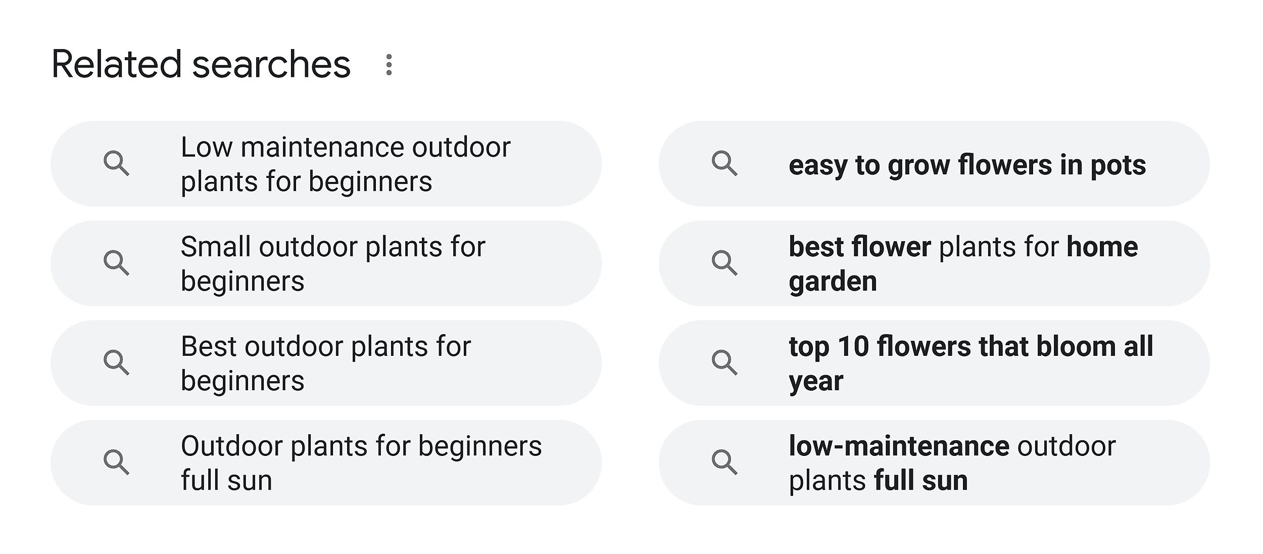 Outdoor plants for beginners – Related searches Outdoor plants for beginners – Related searches