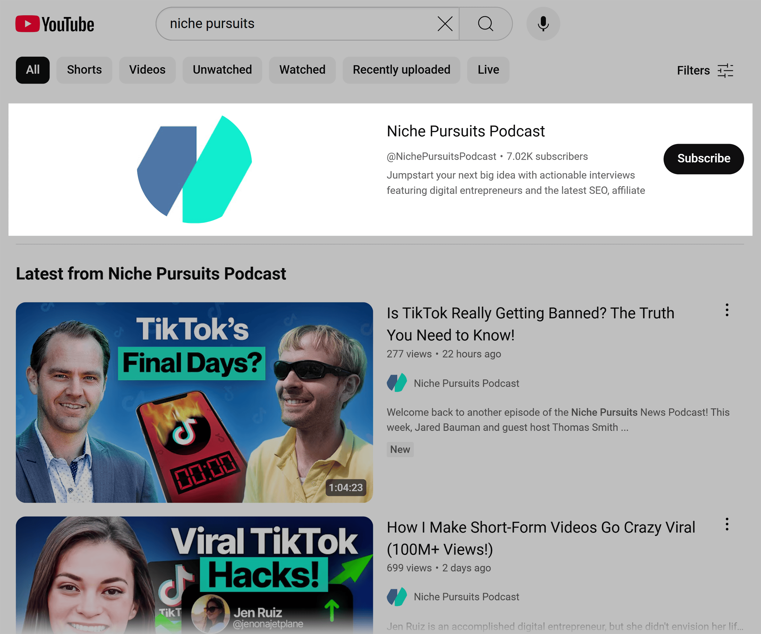 YouTube SERP – Niche Pursuits YouTube SERP – Niche Pursuits